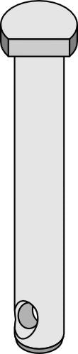 Pin