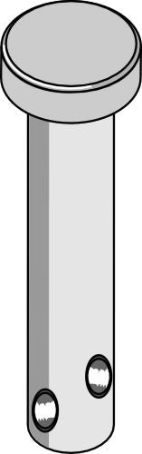 Pin