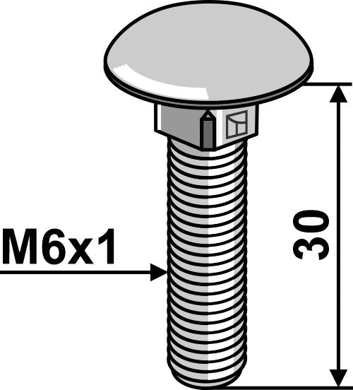 Skruer med flad hoved M6x1x30 - galvaniseret