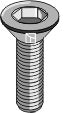 Hexagon socket screw