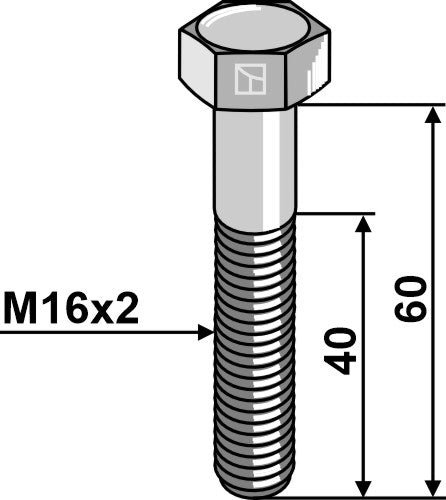 Bolt M16 x 60