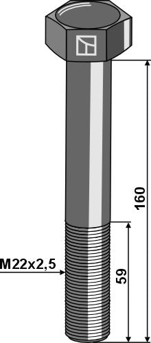 Sexkantskruv M22x2,5x160 utan mutter